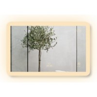 Gương Led GLS  M35R64 Dòng M Ánh Sáng Ngoài 80x60 cm