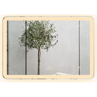 Gương Led GLS  M35R66 Dòng M Ánh Sáng Ngoài 80x60 cm