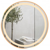 Gương Led GLS Q23C85 Dòng Q Ánh Sáng Trong 60 cm