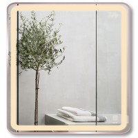 Gương Led GLS Q24S25 Dòng Q Ánh Sáng Trong 60x60 cm