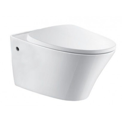 Bồn Cầu Moen SW0313PO/SW9312 Treo Tường ENGINEER