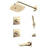 Sen Tắm Âm Tường TOTO TBV02401B TBV02102B/TBW02004A TBW02017B TBG02001B 3 Đường Nước #PFG Vàng Pháp Bóng