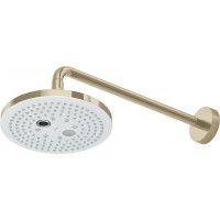 Bát Sen Gắn Tường TOTO TBW01004A#BFG 2 Chế Độ Vàng Pháp Mờ