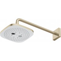 Bát Sen Gắn Tường TOTO TBW02004A#BFG 2 Chế Độ Bát Vàng Pháp Mờ 210mm