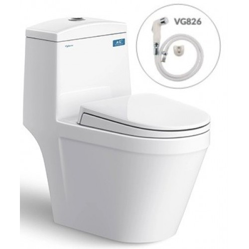 Bồn cầu Viglacera V35 VG826 - Xí bệt bàn cầu vệ sinh 1 khối - Tuâ n Đư c