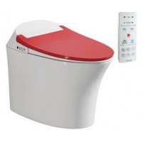 Bồn Cầu Thông Minh Viglacera V93.RW