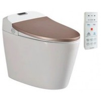 Bồn Cầu Thông Minh Viglacera V94.GW