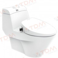 Bồn Cầu American Standard VF-2010S (VF2010S) Dòng Activa Nắp Rửa Cơ (TL)