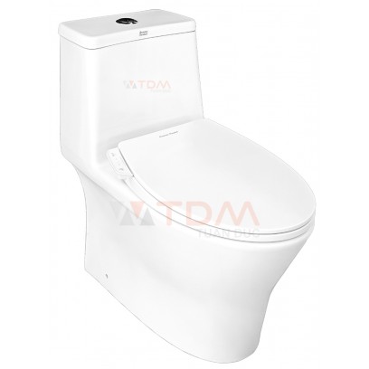 Bồn Cầu American Standard VF-2530SW (VF2530SW) Nắp Rửa Cơ M4A839