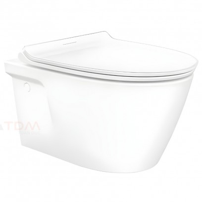 Bồn Cầu American Standard VF-3119E (VF3119E) Treo Tường Nắp WP-C119
