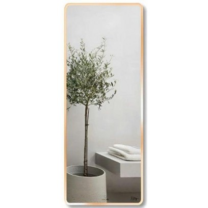 Gương Viền Nhôm GLS VF14R70 Màu Champange 60x160 cm - Tuấn Đức