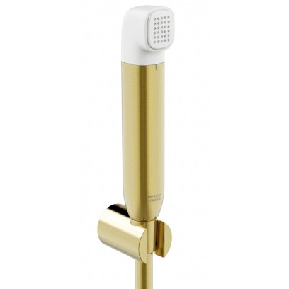 Vòi Xịt Toilet American Standard WF-TS28CS DuoStix Màu Vàng - Tuấn Đức