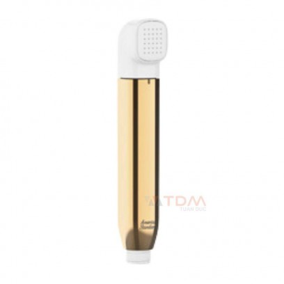 Vòi Xịt Toilet American Standard WF-TS28CS DuoStix Màu Vàng
