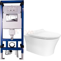 Bồn Cầu American Standard WP-2140 WP-C119S G3004A M11785 Treo Tường