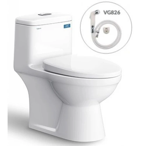 Bồn cầu Viglacera BL5V xả xoáy + VG826 - Xí bệt bàn cầu 1 khối nắp V37