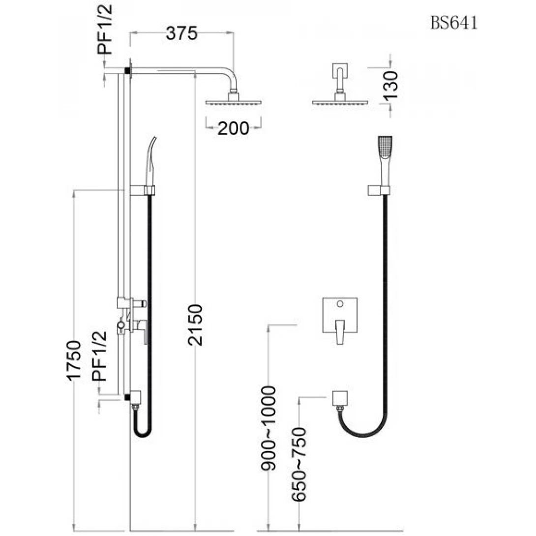 bo-sen-cay-am-tuong-caesar-bs641