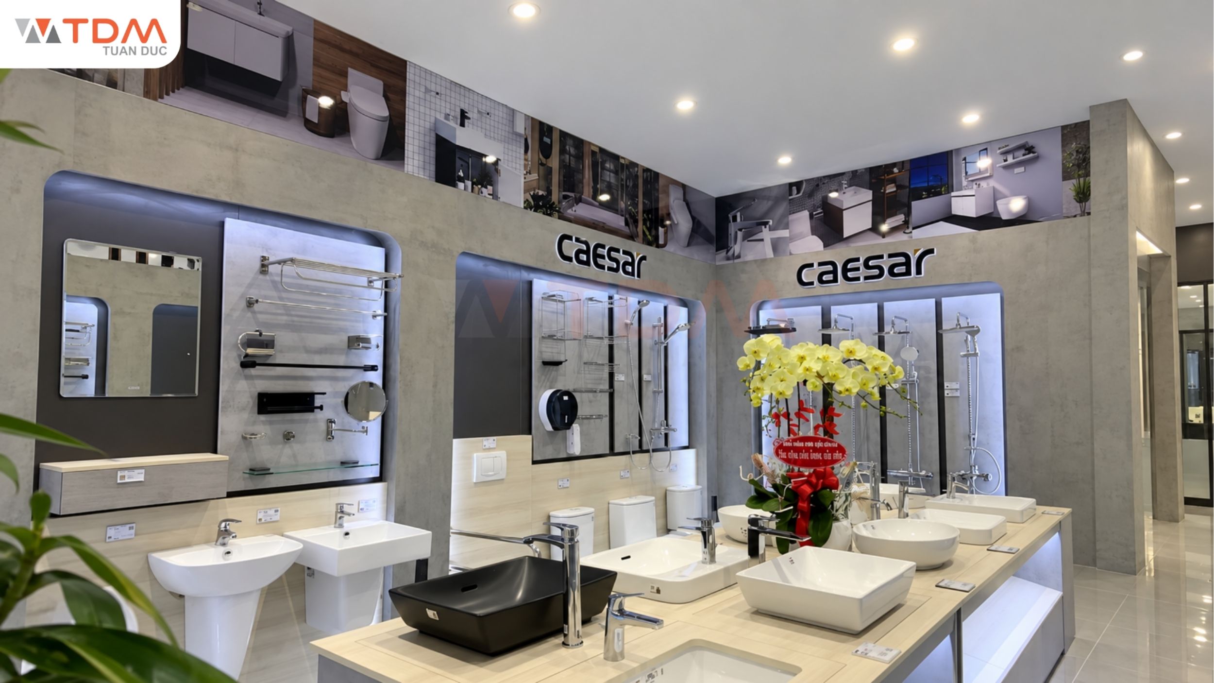 Cửa hàng phân phối bồn rửa mặt Caesar chính hãng giá tốt toàn quốc