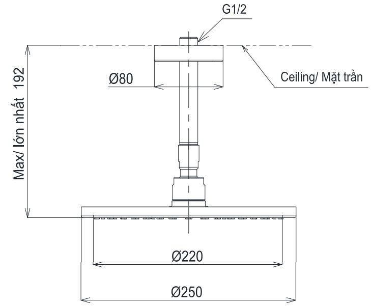 Bản vẽ bát sen tắm TBW 07002A1 TOTO gắn trần 250 mm