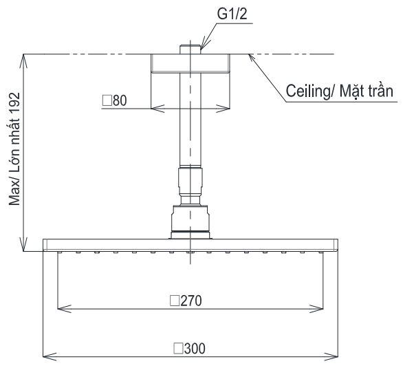 Bản vẽ bát sen tắm TBW 08003A1 TOTO gắn trần 300 mm