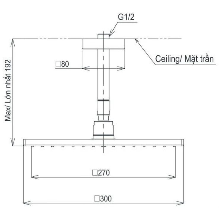 Bản vẽ bát sen tắm TBW 08003A1 MBL TOTO gắn trần 300 mm