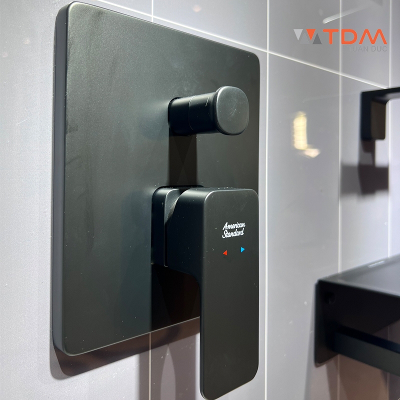 Hình ảnh thực tế van trộn kèm nút chuyển hướng American WF1321MB