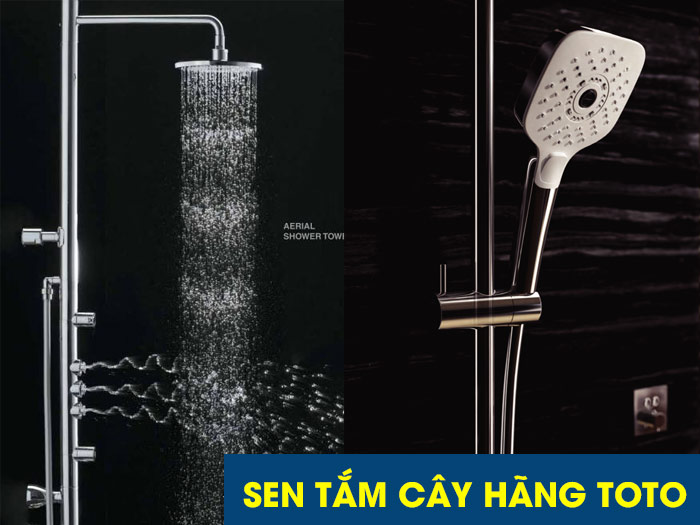 Bộ vòi sen tắm hãng TOTO