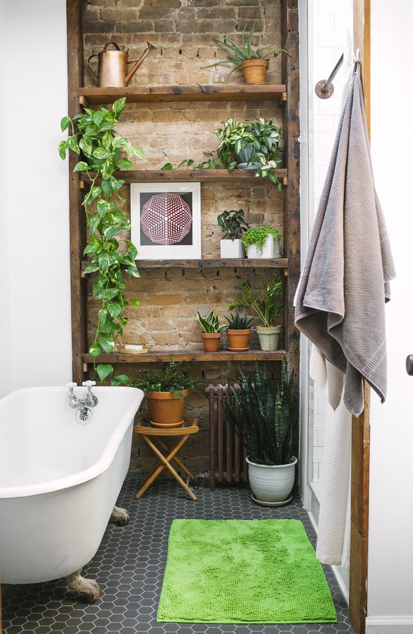Trang trí nhà vệ sinh đẹp bằng kệ gỗ và cây xanh