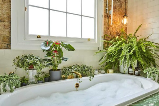 Thiết kế nhà tắm đẹp bằng cách trang trí nhiều cây xanh