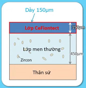 độ dày lớp men chống bám bẩn Cefiontect