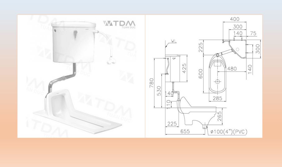 Bồn Cầu Xổm CAESAR CT1250 Thùng T1113 Treo Tường