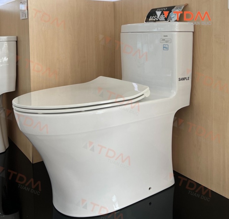 Bệt một khốiTOTO MS889DRT8