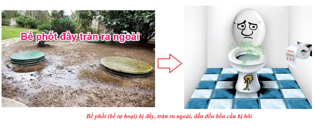 Hút bể phốt, hút bồn cầu – Khi nào cần? Tại sao hầm, bồn tự hoại hay đầy? Hút bể phốt, hút bồn cầu – Khi nào cần? Tại sao hầm, bồn tự hoại hay đầy?