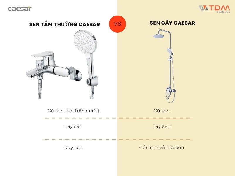 Các loại sen tắm CAESAR phổ biến