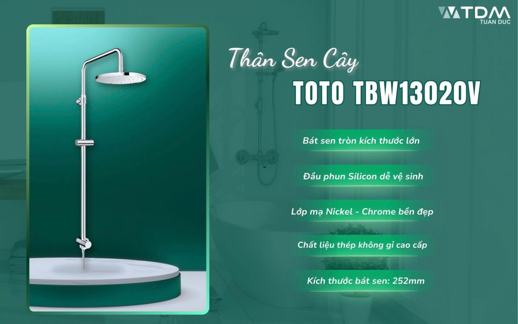 Thân sen cây TOTO TBW13020V