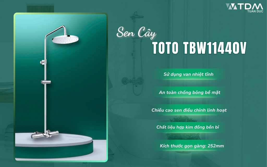 Thân sen cây TOTO TBW11440V