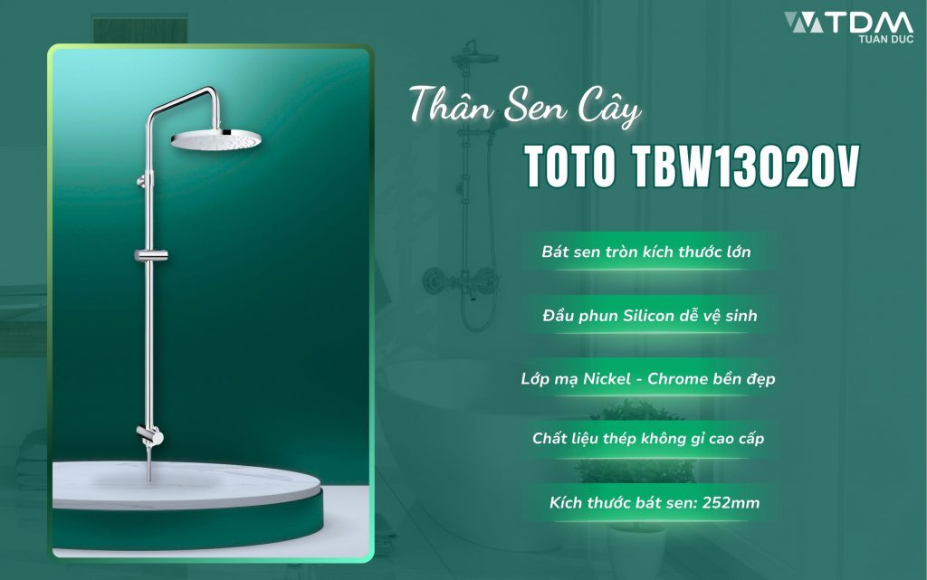 Thân sen cây TOTO TBW13020V