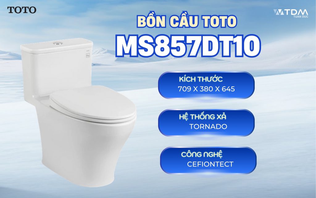 Bồn Cầu TOTO MS857DT10