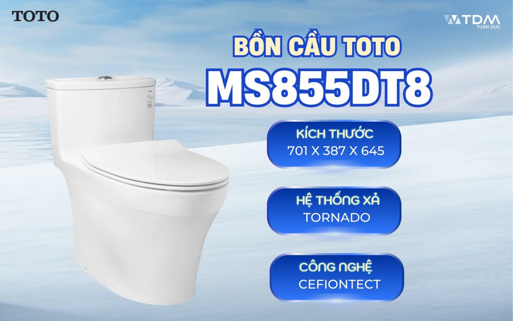 Bồn cầu TOTO MS855DT8