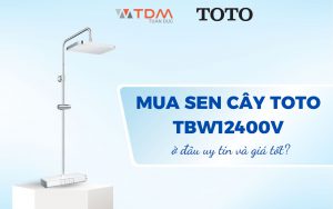 Mua sen cây TOTO TBW12400V ở đâu uy tín và giá tốt nhất?
