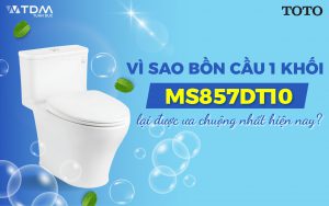 Vì sao bồn cầu 1 khối MS857DT10 lại được ưa chuộng nhất hiện nay?