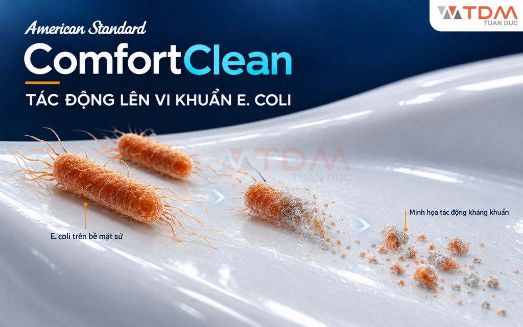 Công nghệ ComfortClean diệt vi khuẩn E. coli đạt tỷ lệ 99.9% trên bồn cầu American Standard